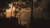 s_3.webp