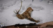 s_2.webp