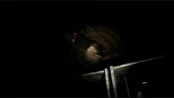 s_6.webp