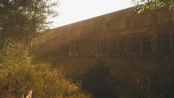 s_7.webp