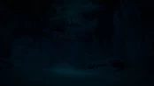 s_8.webp