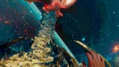 s_8.webp