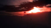 s_5.webp