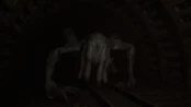 s_8.webp