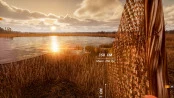 s_7.webp