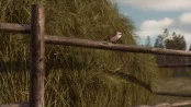s_8.webp