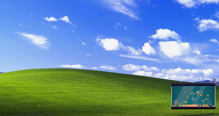 b_7.webp