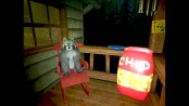 s_5.webp
