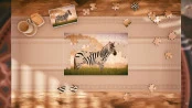 s_8.webp