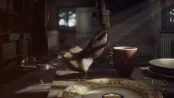 s_2.webp