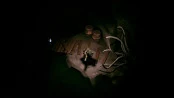 s_5.webp