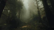 s_7.webp