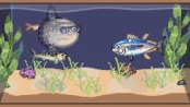 s_3.webp