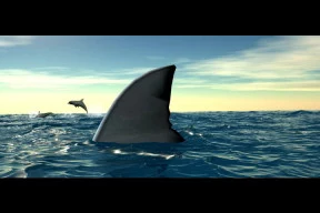 s_7.webp