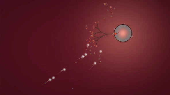 b_6.webp