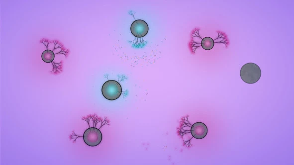 b_7.webp