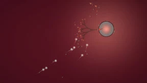 s_6.webp