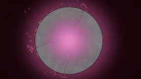 s_8.webp
