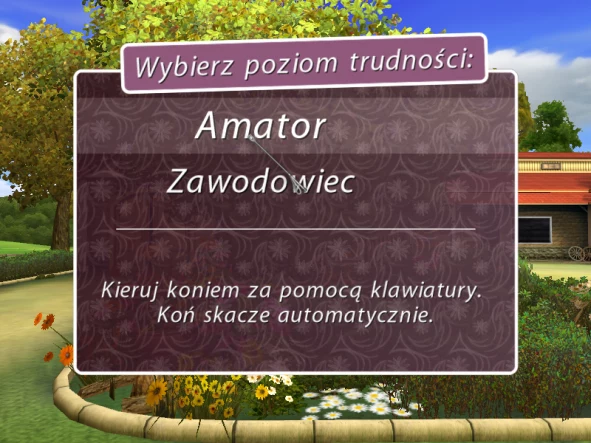 b_4.webp