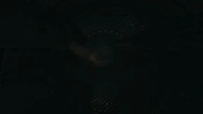 s_8.webp
