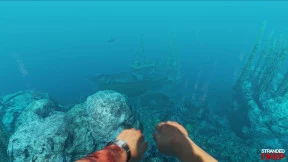 s_2.webp