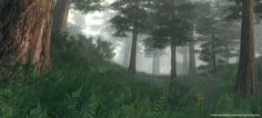 s_1.webp