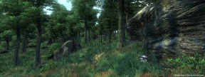 s_2.webp
