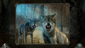 s_2.webp